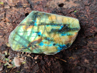 Polished On One Side Labradorite Slabs x 35 From Tulear, Madagascar
