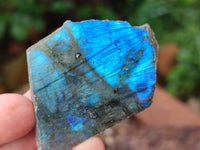 Polished On One Side Labradorite Slabs x 35 From Tulear, Madagascar