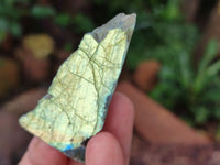 Polished On One Side Labradorite Slabs x 35 From Tulear, Madagascar