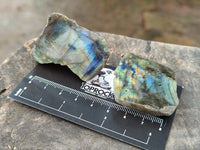 Polished On One Side Labradorite Slabs x 35 From Tulear, Madagascar