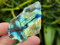 Polished On One Side Labradorite Slabs x 35 From Tulear, Madagascar