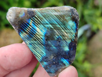Polished On One Side Labradorite Slabs x 35 From Tulear, Madagascar