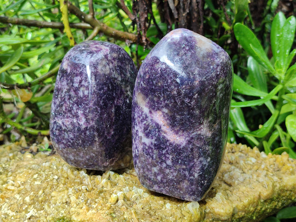Polished Dark Purple Silver Leaf Lepidolite Standing Free Forms x 2 From Zimbabwe
