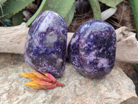 Polished Dark Purple Silver Leaf Lepidolite Standing Free Forms x 2 From Zimbabwe