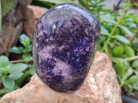 Polished Dark Purple Silver Leaf Lepidolite Standing Free Forms x 2 From Zimbabwe