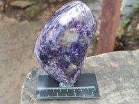 Polished Dark Purple Silver Leaf Lepidolite Standing Free Forms x 2 From Zimbabwe