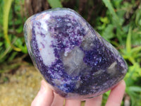 Polished Dark Purple Silver Leaf Lepidolite Standing Free Forms x 2 From Zimbabwe