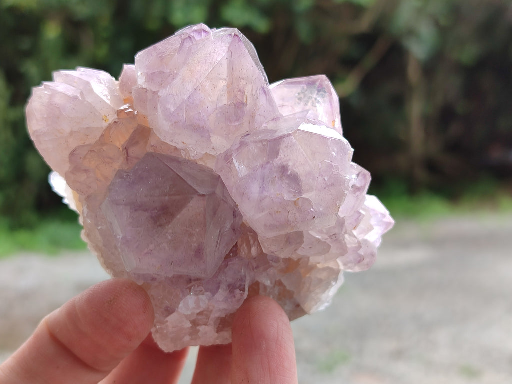 Natural Cactus Flower Sunburst Spirit Amethyst Clusters x 4 From Boekenhouthoek, South Africa - Toprock Gemstones and Minerals 