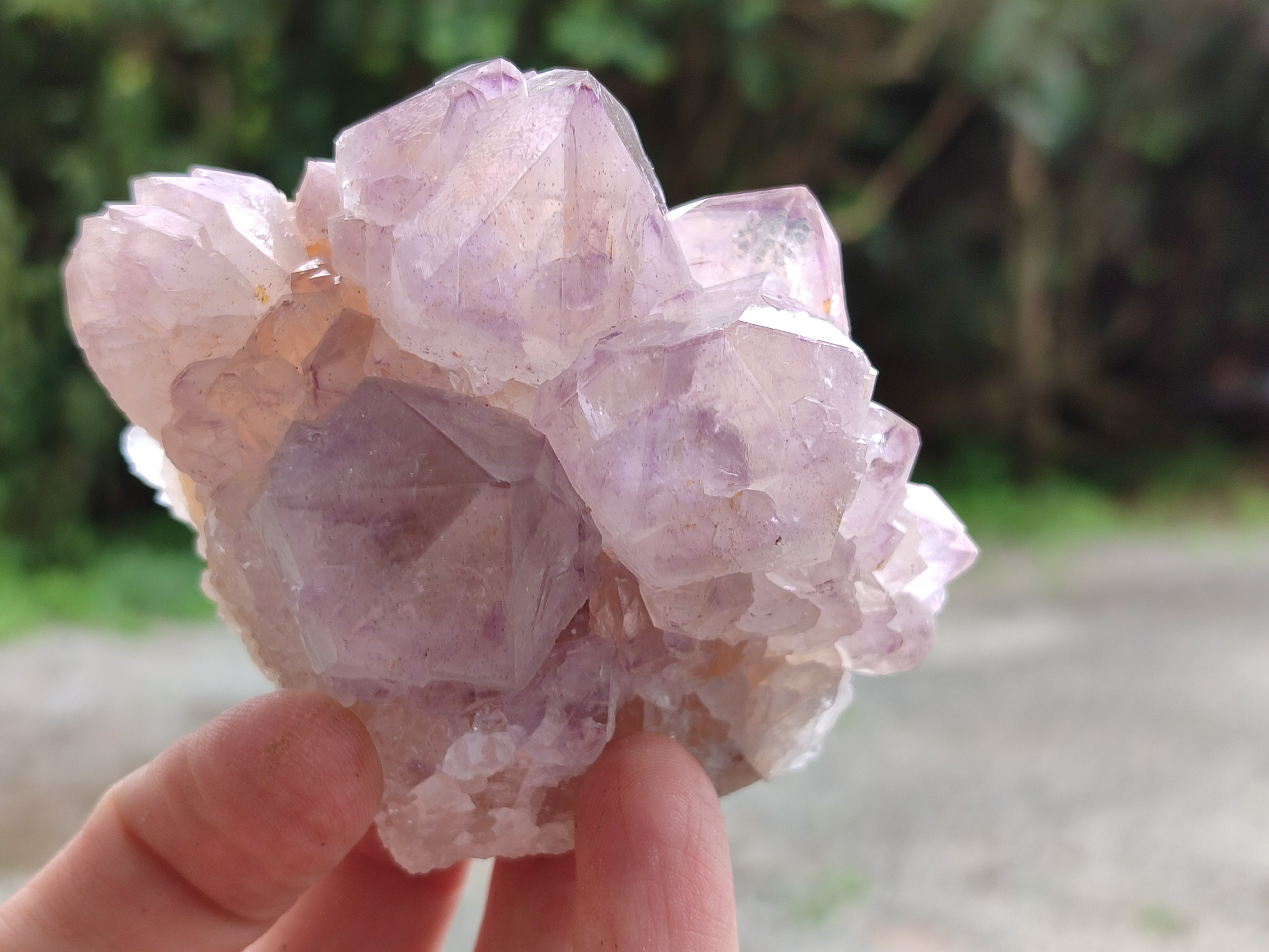 Natural Cactus Flower Sunburst Spirit Amethyst Clusters x 4 From Boekenhouthoek, South Africa - Toprock Gemstones and Minerals 