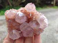 Natural Cactus Flower Sunburst Spirit Amethyst Clusters x 4 From Boekenhouthoek, South Africa
