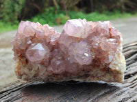 Natural Cactus Flower Sunburst Spirit Amethyst Clusters x 4 From Boekenhouthoek, South Africa