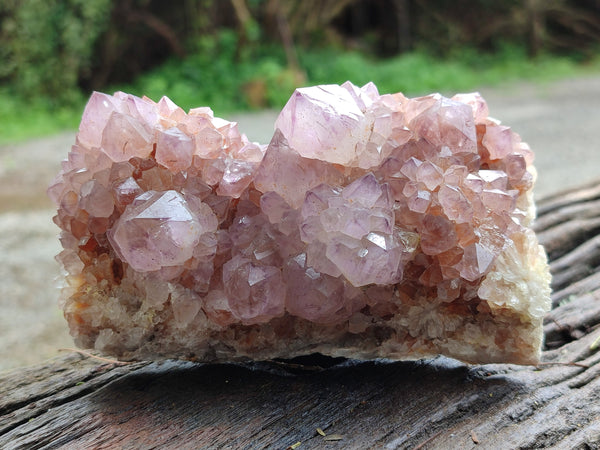 Natural Cactus Flower Sunburst Spirit Amethyst Clusters x 4 From Boekenhouthoek, South Africa