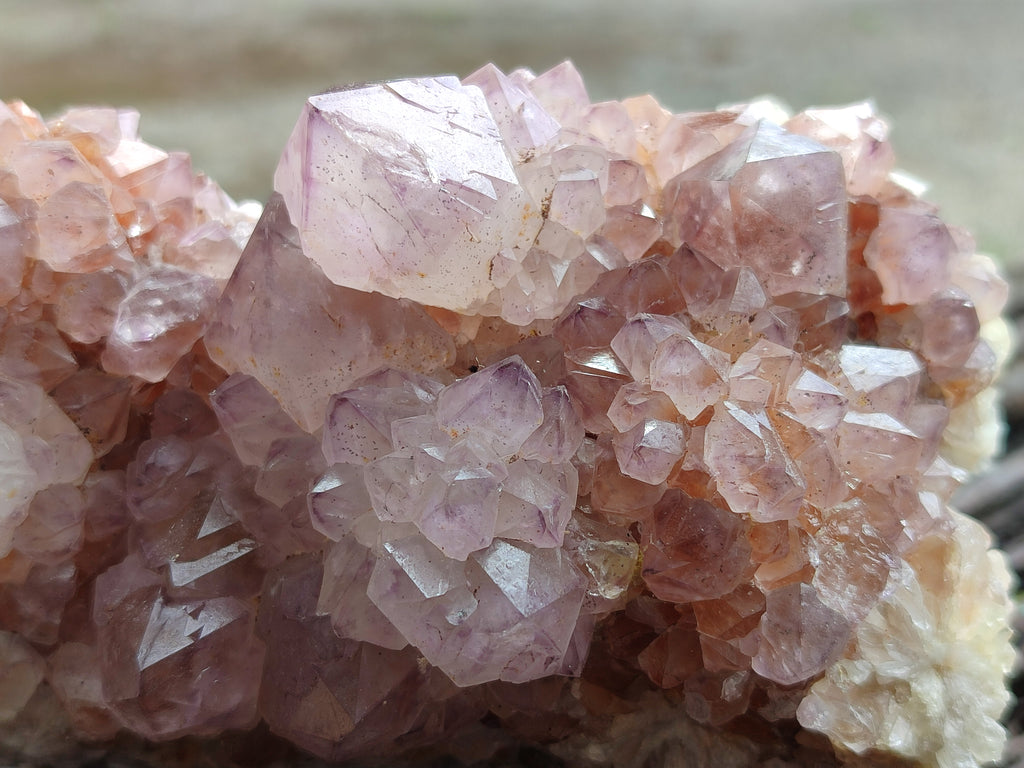 Natural Cactus Flower Sunburst Spirit Amethyst Clusters x 4 From Boekenhouthoek, South Africa - Toprock Gemstones and Minerals 