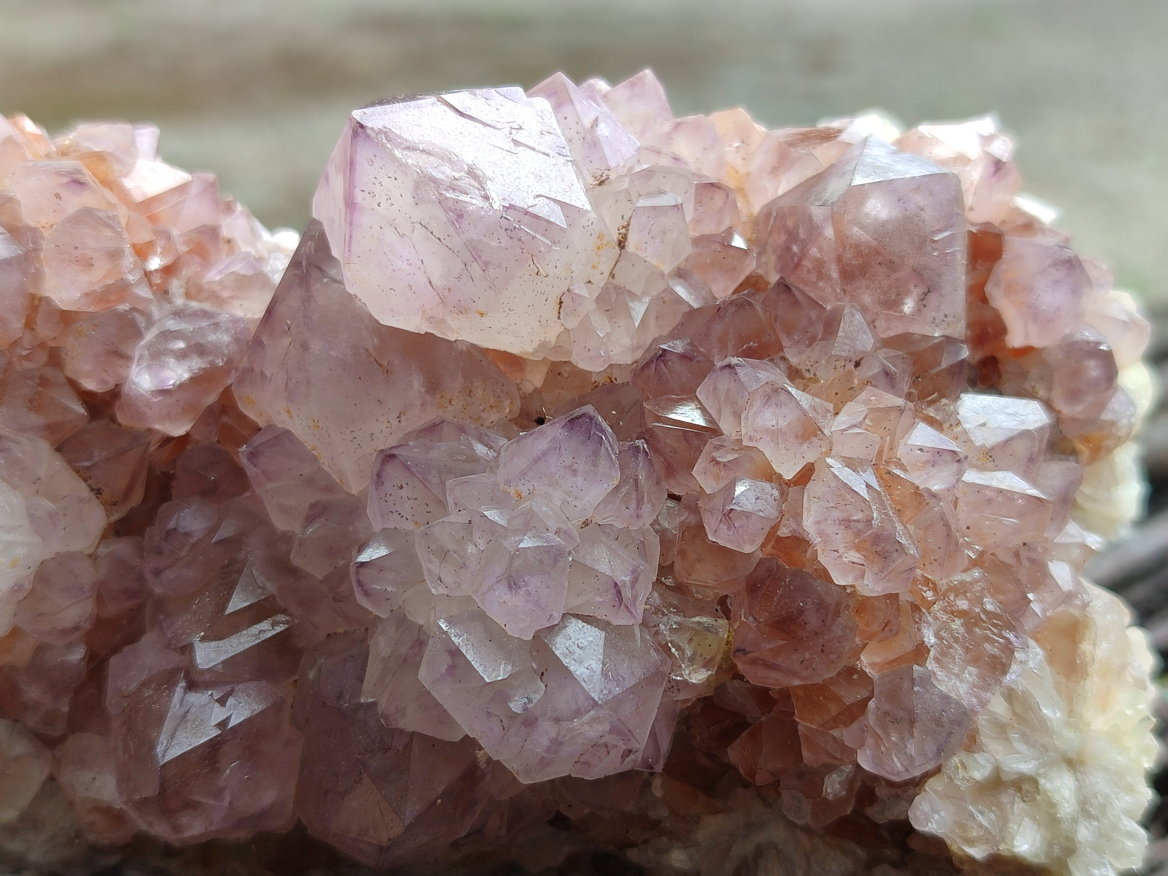Natural Cactus Flower Sunburst Spirit Amethyst Clusters x 4 From Boekenhouthoek, South Africa - Toprock Gemstones and Minerals 
