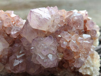 Natural Cactus Flower Sunburst Spirit Amethyst Clusters x 4 From Boekenhouthoek, South Africa