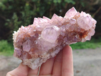 Natural Cactus Flower Sunburst Spirit Amethyst Clusters x 4 From Boekenhouthoek, South Africa