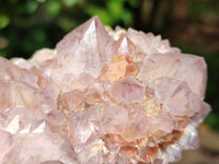 Natural Cactus Flower Sunburst Spirit Amethyst Clusters x 4 From Boekenhouthoek, South Africa