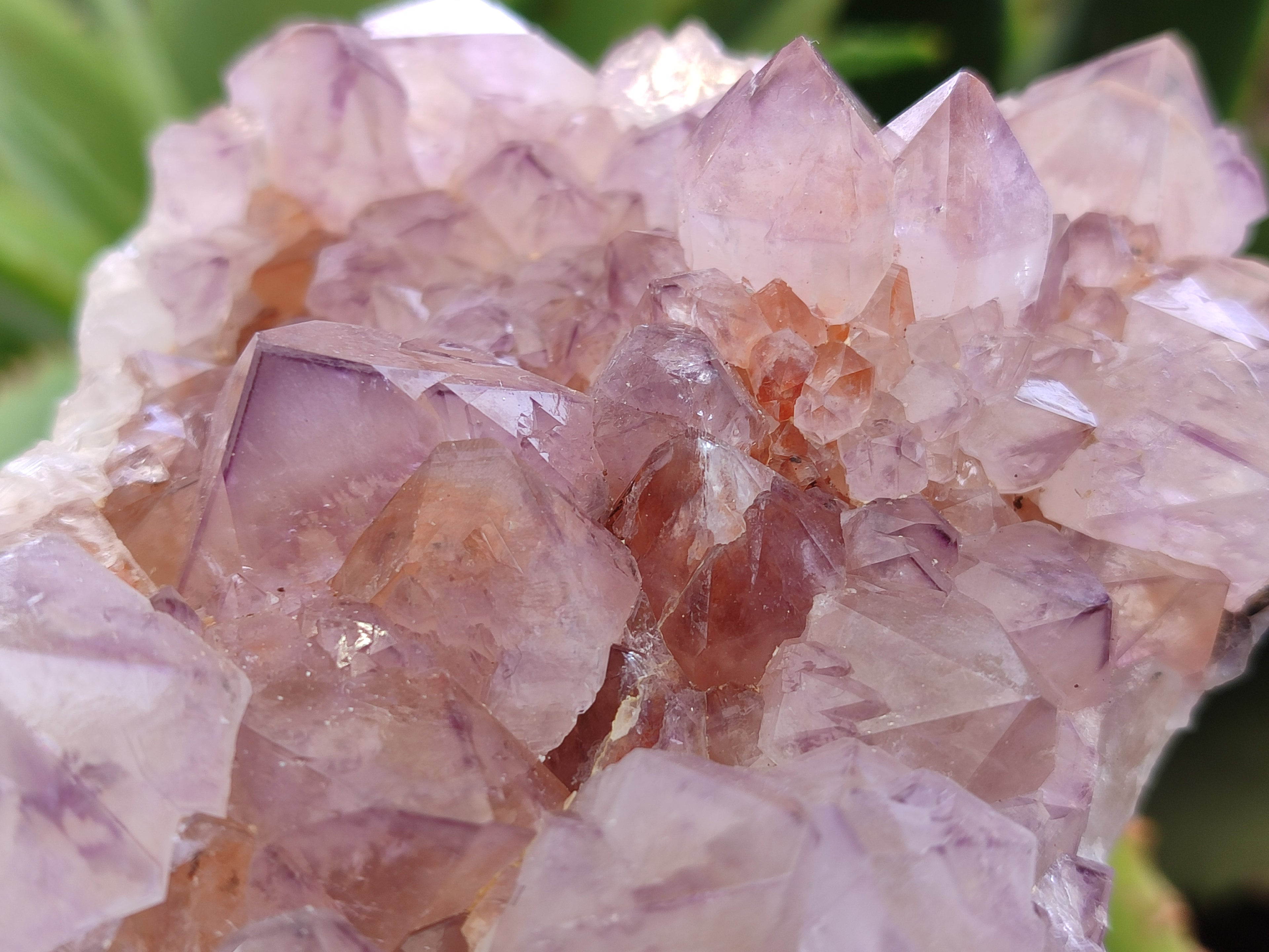 Natural Cactus Flower Sunburst Spirit Amethyst Clusters x 4 From Boekenhouthoek, South Africa - Toprock Gemstones and Minerals 
