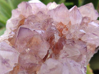 Natural Cactus Flower Sunburst Spirit Amethyst Clusters x 4 From Boekenhouthoek, South Africa