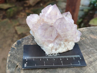Natural Cactus Flower Sunburst Spirit Amethyst Clusters x 4 From Boekenhouthoek, South Africa