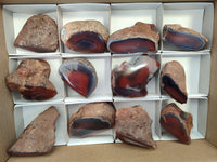 Polished On One Side Red Sashe River Agate Nodules x 12 From Zimbabwe
