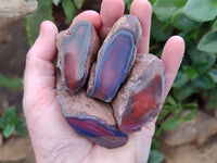Polished On One Side Red Sashe River Agate Nodules x 12 From Zimbabwe