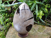Polished Septerye Sauvage "Dragons Egg" x 1 From Mahajanga, Madagascar