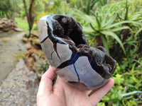 Polished Septerye Sauvage "Dragons Egg" x 1 From Mahajanga, Madagascar