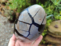 Polished Septerye Sauvage "Dragons Egg" x 1 From Mahajanga, Madagascar