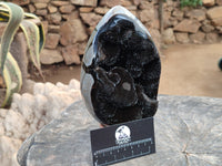 Polished Septerye Sauvage "Dragons Egg" x 1 From Mahajanga, Madagascar