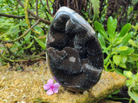 Polished Septerye Sauvage "Dragons Egg" x 1 From Mahajanga, Madagascar