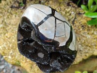 Polished Septerye Sauvage "Dragons Egg" x 1 From Mahajanga, Madagascar