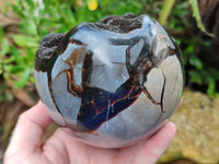 Polished Septerye Sauvage "Dragons Egg" x 1 From Mahajanga, Madagascar