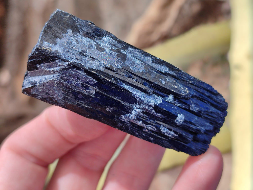 Natural Schorl Black Tourmaline Specimens x 12 From Erongo, Namibia - Toprock Gemstones and Minerals 