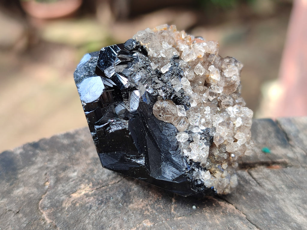 Natural Schorl Black Tourmaline Specimens x 12 From Erongo, Namibia - Toprock Gemstones and Minerals 