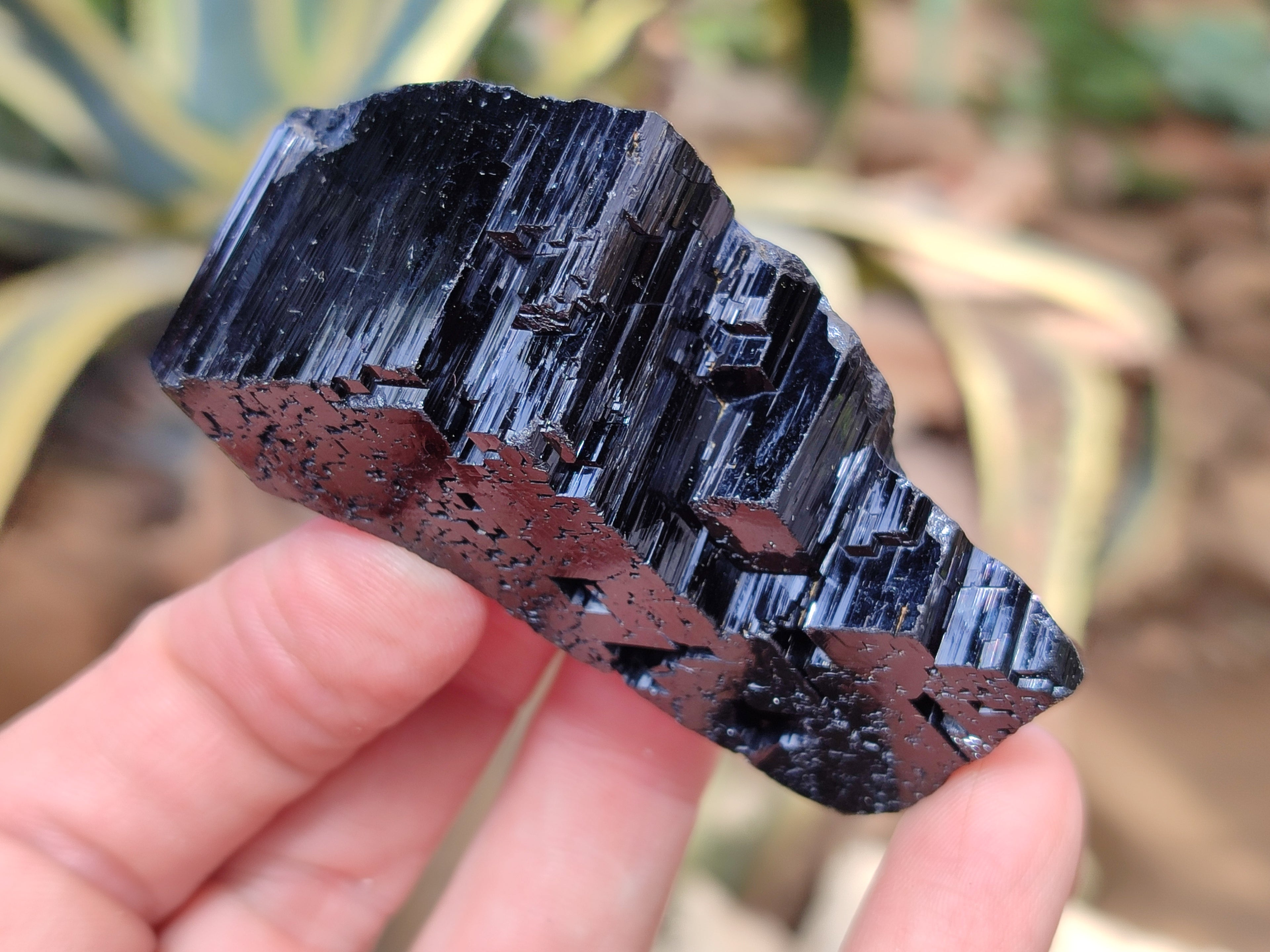 Natural Schorl Black Tourmaline Specimens x 12 From Erongo, Namibia - Toprock Gemstones and Minerals 