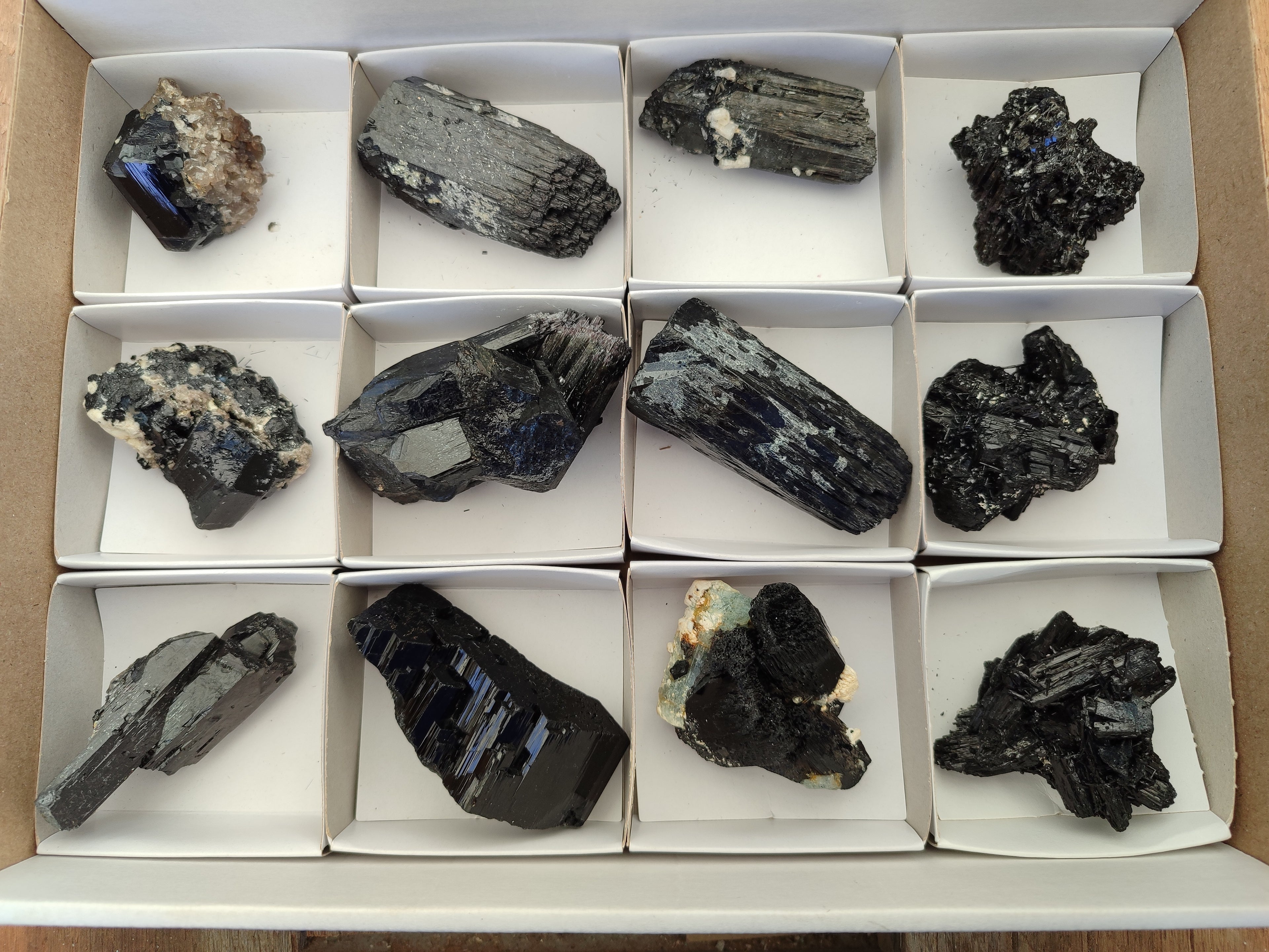 Natural Schorl Black Tourmaline Specimens x 12 From Erongo, Namibia - Toprock Gemstones and Minerals 