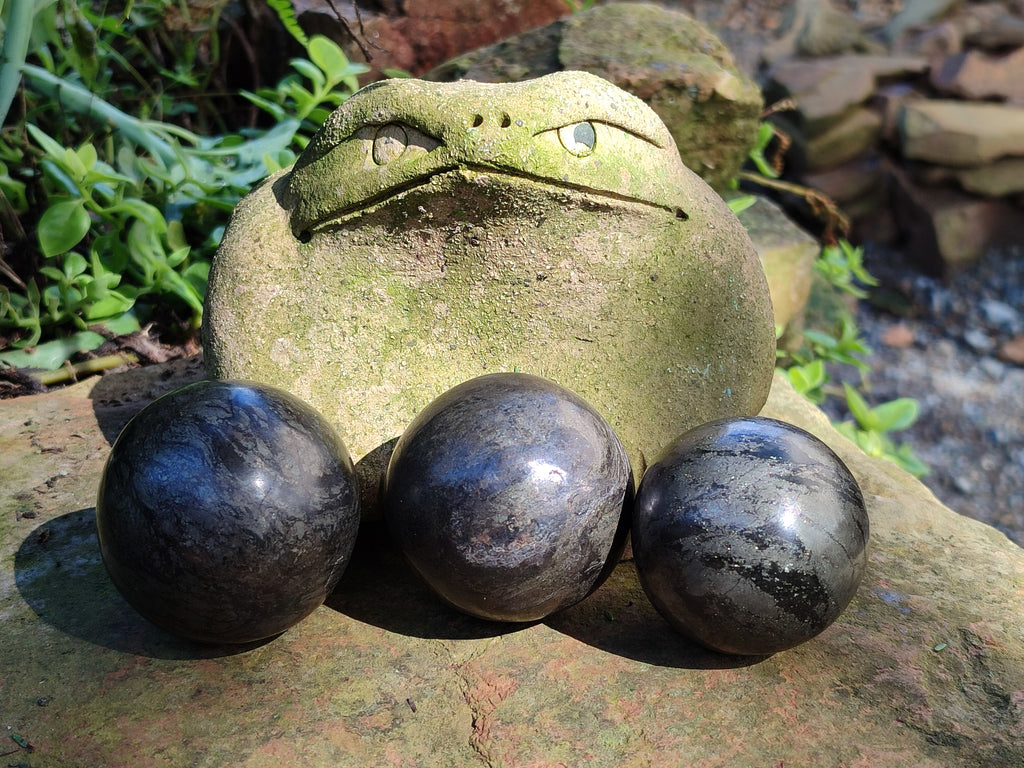 Polished Rare Pharaoh Stone Spheres x 3 From Zimbabwe - Toprock Gemstones and Minerals 