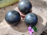 Polished Rare Pharaoh Stone Spheres x 3 From Zimbabwe