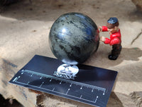 Polished Rare Pharaoh Stone Spheres x 3 From Zimbabwe