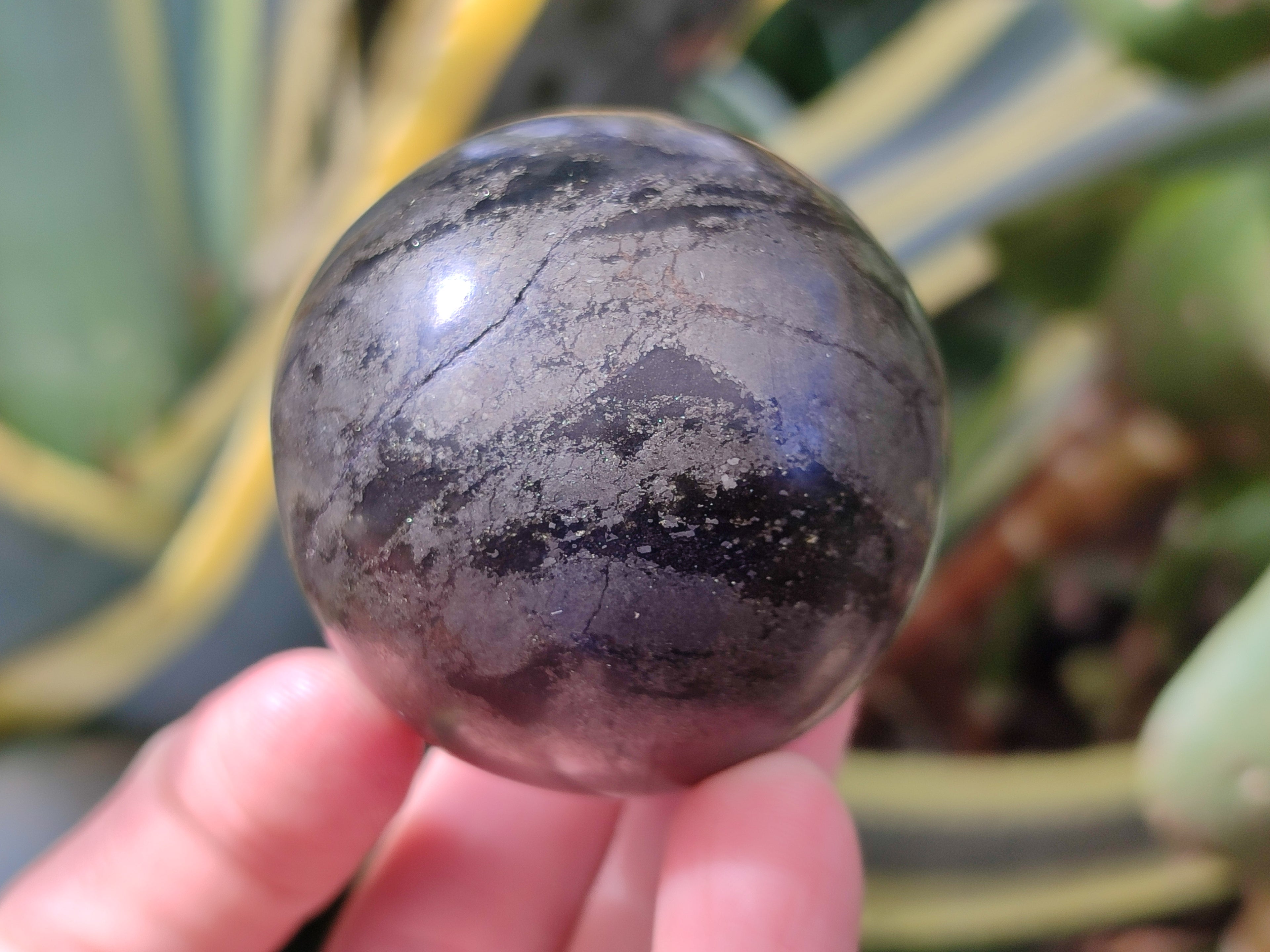 Polished Rare Pharaoh Stone Spheres x 3 From Zimbabwe - Toprock Gemstones and Minerals 