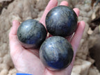 Polished Rare Pharaoh Stone Spheres x 3 From Zimbabwe - Toprock Gemstones and Minerals 