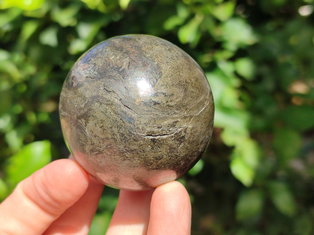 Polished Rare Pharaoh Stone Spheres x 3 From Zimbabwe - Toprock Gemstones and Minerals 