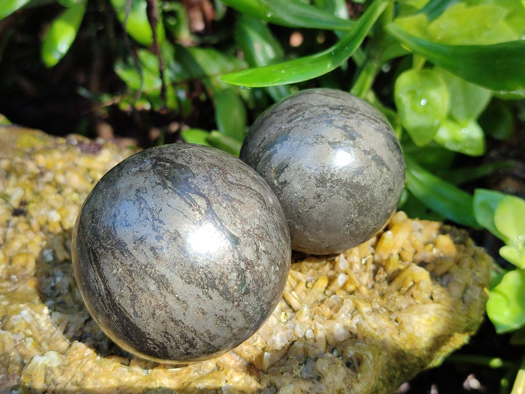 Polished Rare Pharaoh Stone Spheres x 3 From Zimbabwe - Toprock Gemstones and Minerals 