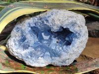 Natural Celestite Geode Specimen x 1 From Sakoany, Madagascar