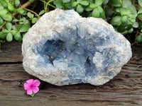 Natural Celestite Geode Specimen x 1 From Sakoany, Madagascar