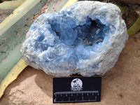 Natural Celestite Geode Specimen x 1 From Sakoany, Madagascar