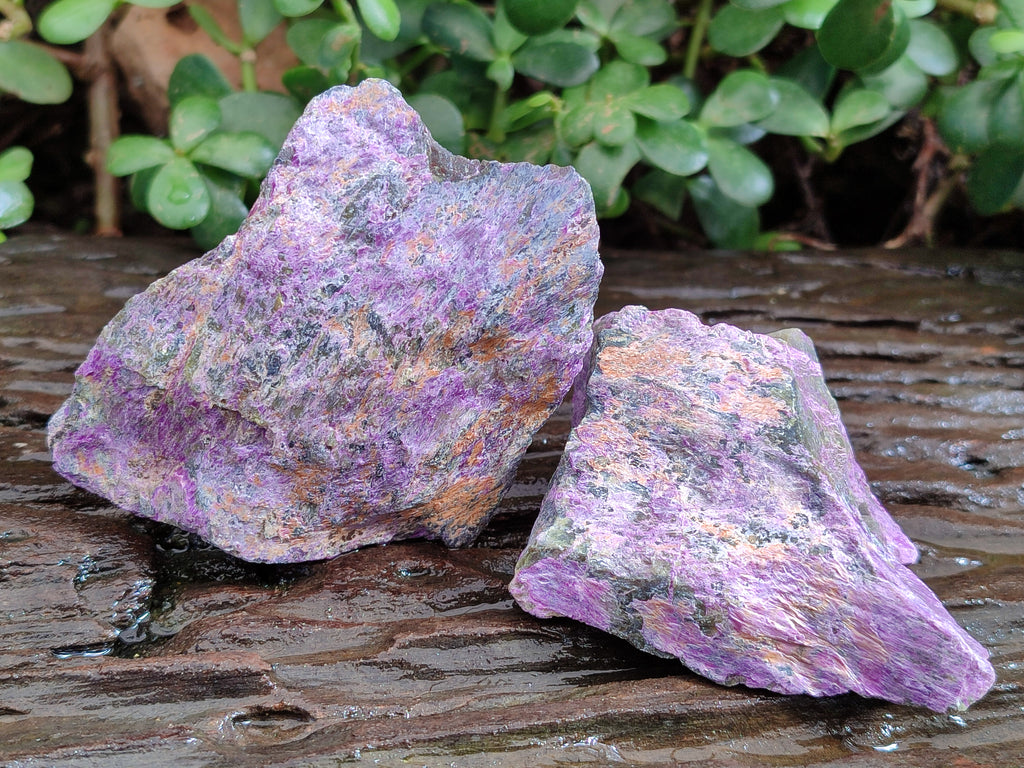 Natural Stichtite Cobbed Specimens x 12 From Barberton, South Africa - Toprock Gemstones and Minerals 