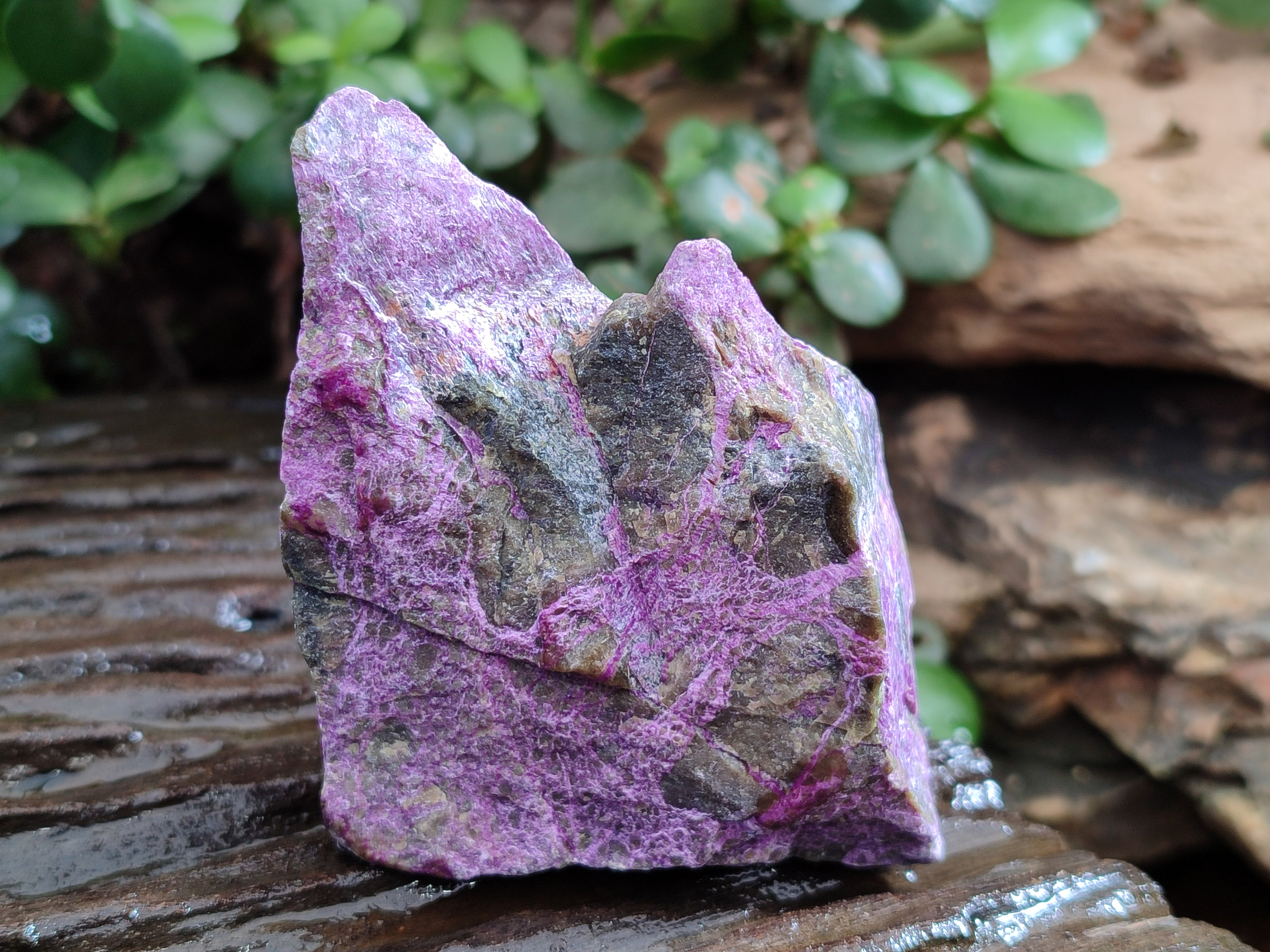 Natural Stichtite Cobbed Specimens x 12 From Barberton, South Africa - Toprock Gemstones and Minerals 