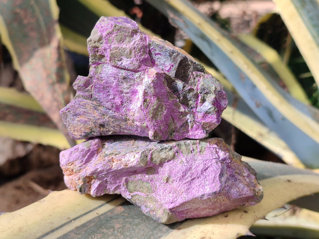 Natural Stichtite Cobbed Specimens x 12 From Barberton, South Africa - Toprock Gemstones and Minerals 